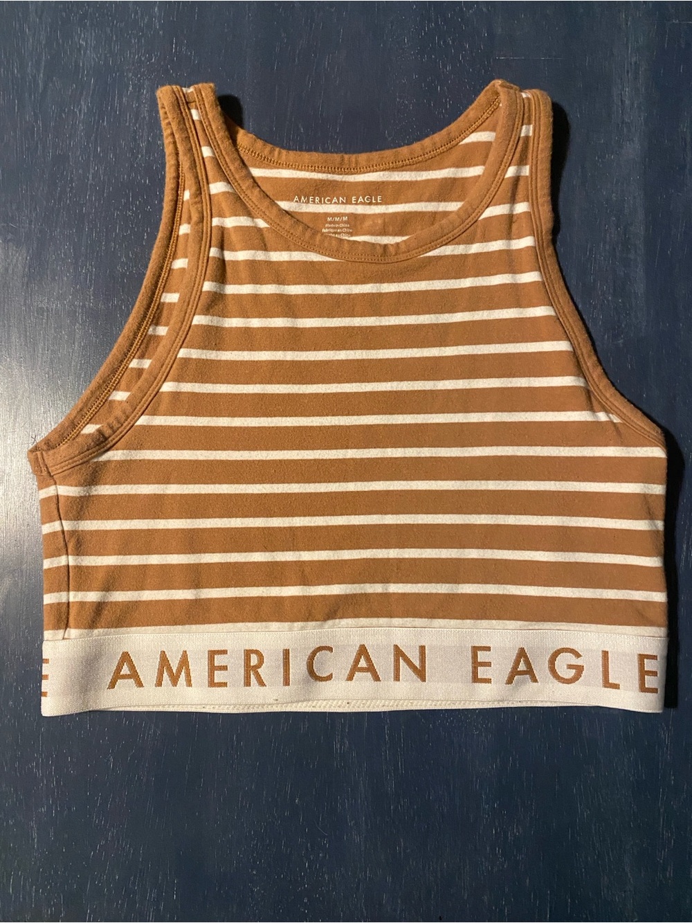 American Eagle Outfitters Brown and White Striped Cropped Tank